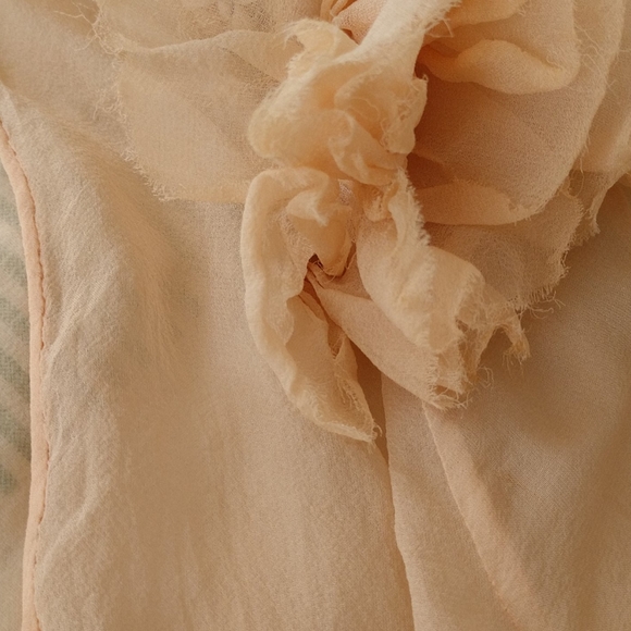 #49 TRUE ANTIQUE INCREDIBLE 1920-30 SILK CHIFFON 3pc ENSEMBLE PriceReduced! COPY - Picture 8 of 14